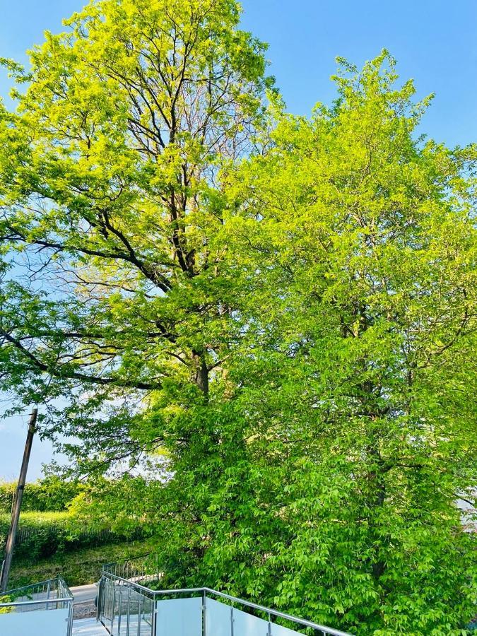 Ferienwohnung Waldblick Kaufungen Exterior foto